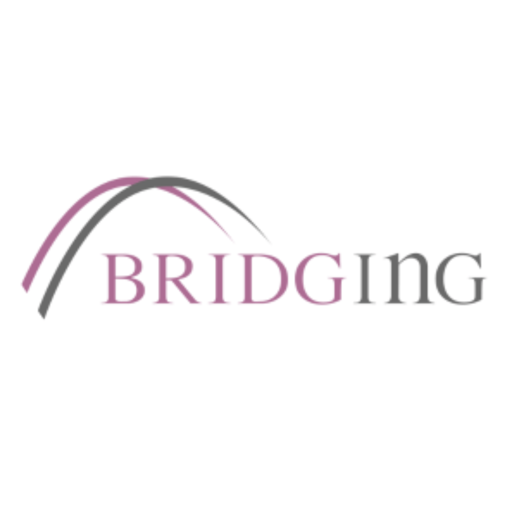 Strategic Partnership for International Engineering Services